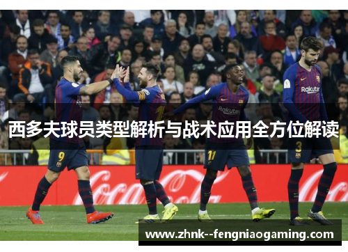 西多夫球员类型解析与战术应用全方位解读