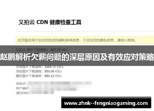 赵鹏解析欠薪问题的深层原因及有效应对策略