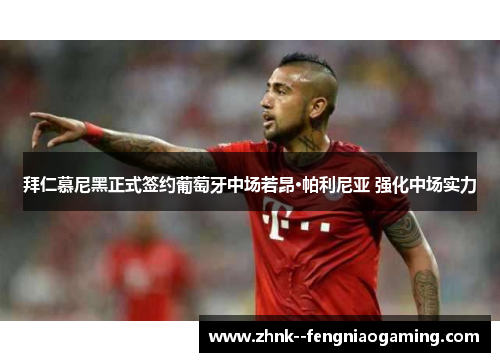 拜仁慕尼黑正式签约葡萄牙中场若昂·帕利尼亚 强化中场实力