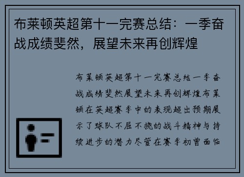 布莱顿英超第十一完赛总结：一季奋战成绩斐然，展望未来再创辉煌
