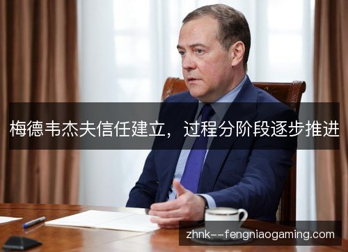 梅德韦杰夫信任建立，过程分阶段逐步推进