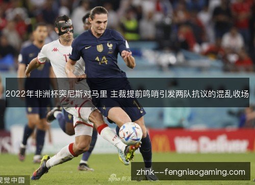 2022年非洲杯突尼斯对马里 主裁提前鸣哨引发两队抗议的混乱收场